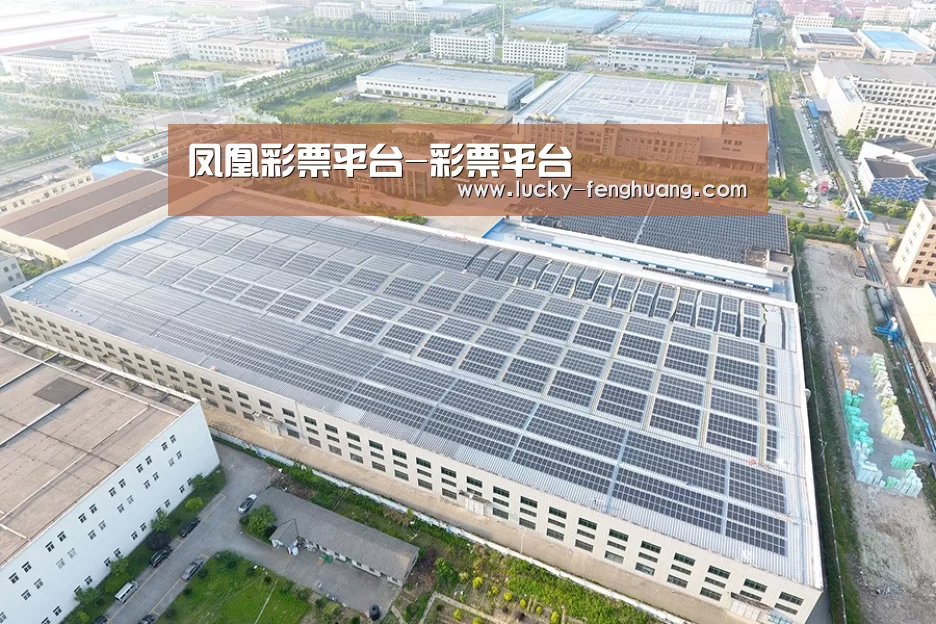 案例展示三