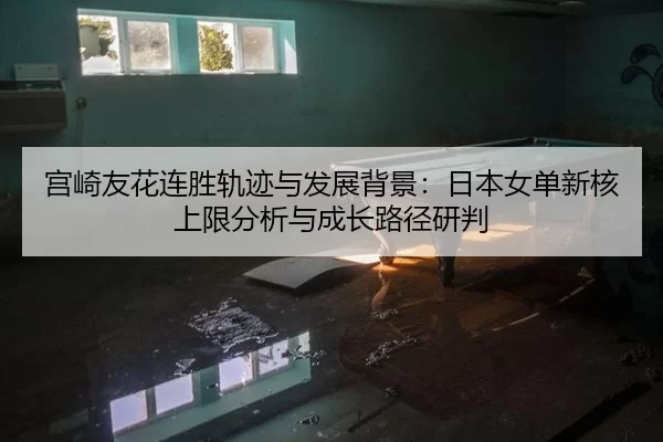 gong-qi-you-hua-lian-sheng-gui-ji-yu-fa-zhan-bei-jing-ri-ben-nv-dan-xin-he-shang-xian-fen-xi-yu-cheng-zhang-lu-jing-yan-2-736.jpg