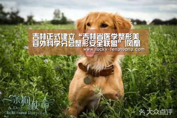吉林正式建立“吉林省医学整形美容外科学分会整形安全联盟”|凤凰彩票官网(图2) 凤凰彩票